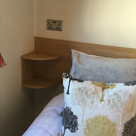 Li,lee Kamp alanı *